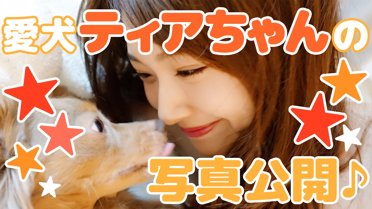愛犬ティアちゃんの写真紹介 Youtube