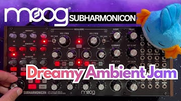 MOOG Subharmonicon - Dreamy Ambient Jam