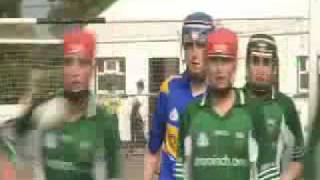 Hurl0077 Tg4 Iománaíocht Drom & Inse