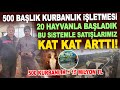 BU SİSTEMLE KURBANLIK SATIŞLARIMIZ ARTTI! YILDIRIM BESİ ÇİFTLİĞİ 2023 KURBANLIKLAR