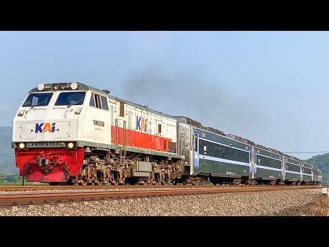 KERETA API TERPANJANG‼️MENEMUKAN 15 KERETA API NGEBUT DI PERLINTASAN STASIUN DAN JALUR MELENGKUNG