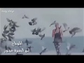ميت عساني ولا كلتله الله وياك
