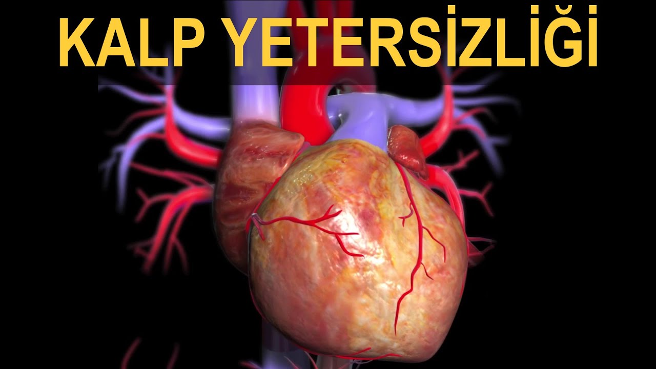 Kalp Yetersizliği