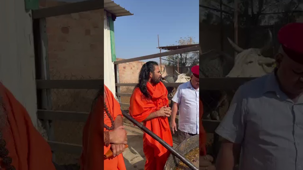 आनंद धाम अलख ज्ञान गौ रक्षा समिति पाल में गौ माता के लिए होली के उपलक्ष में संत प्रेम हरि जी महाराज 