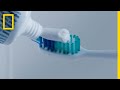 How Your Toothbrush Became a Part of the Plastic Crisis | National Geographic