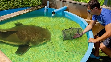 I Caught The Pond Monster in A Fish trap...