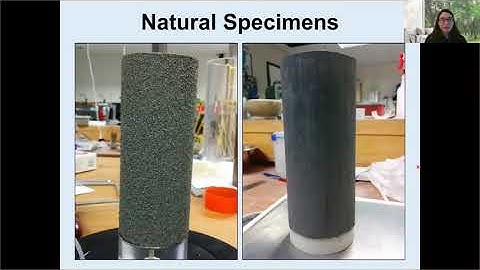 NGL Webinar Series (03) Christine Beyzaei, "Silty Soil Liquefaction Effects in Christchurch, NZ"