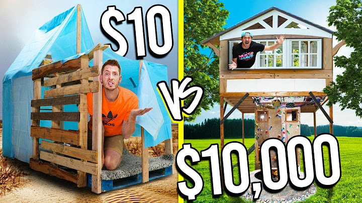 10 $ VS 10 000 $ MIKROBYTY