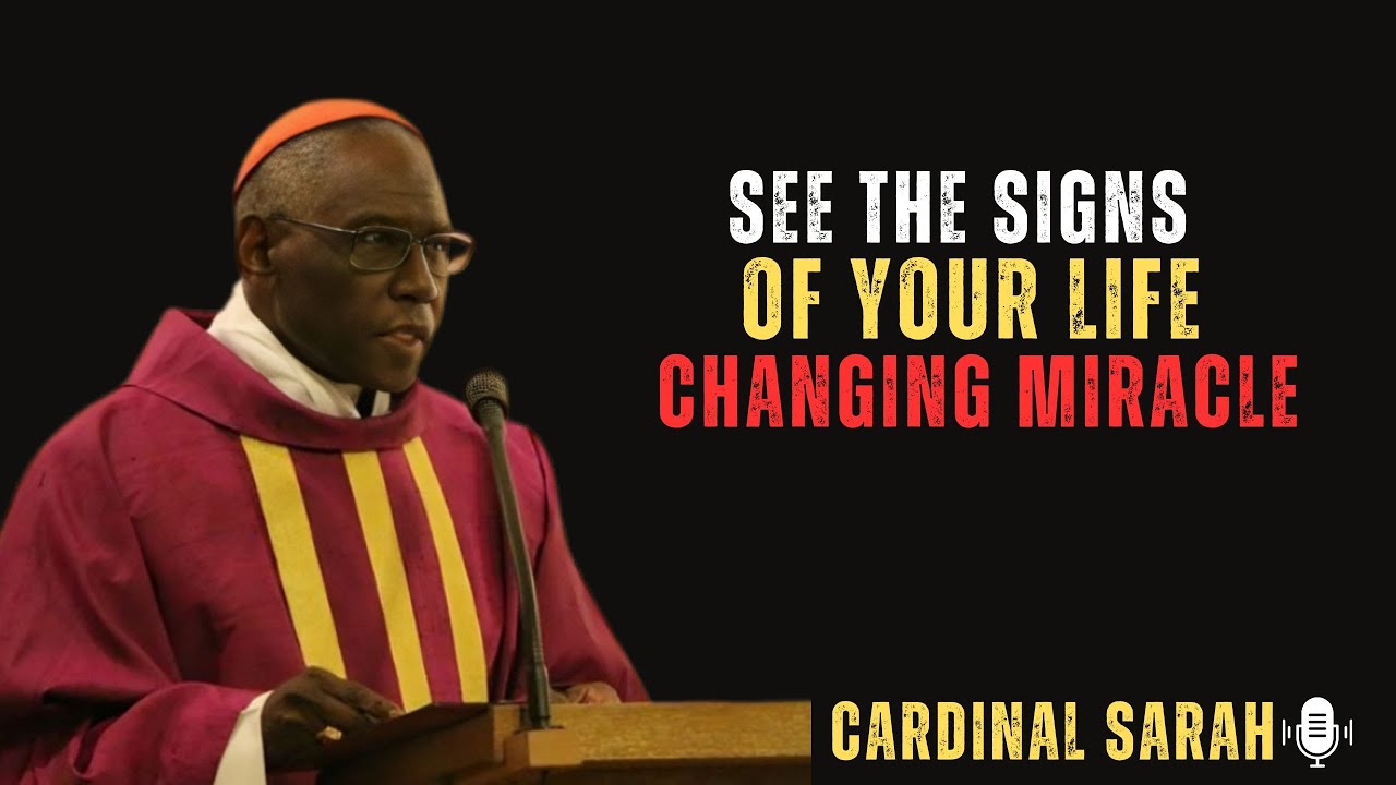 It’s Happening Now: Check Your Life for Today’s Miracle | CARDINAL SARAH