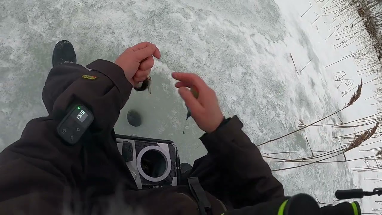 Pimpeltävling Hosjön 210116 