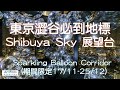 【攝影教學/旅遊 #261】🇯🇵東京澀谷必到地標 Shibuya Sky 展望台 (聖誕期間限定 Sparkling Ballon Corridor) - Alex Fung FRPS