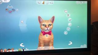 Max and Mya Have a Kitten on The Sims! screenshot 5