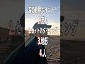 波がでかい時にゲットするにはこのタイミングで入水するのがポイント！#surfing #サーフィン
