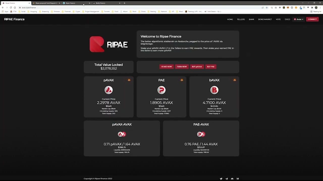 The Cross-chain Algo: RIPAE: what is an algorithmic stable coin?