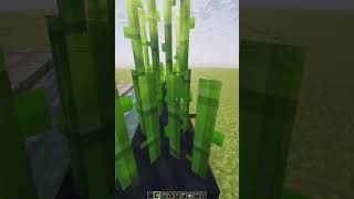 Easy Minecraft Sugarcane Farm | Aria Math