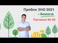 Розбір пробного ЗНО 2021 з біології. Питання 36-50