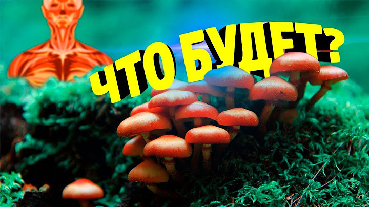 ЧТО БУДЕТ, ЕСЛИ ЕСТЬ ГРИБЫ КАЖДЫЙ ДЕНЬ