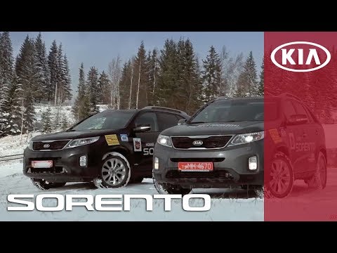Бцр киа в нижнем