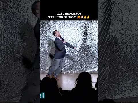 Los verdaderos “Pollitos en Fuga”.