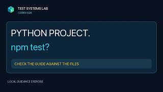 Python Project. Why Does This Guide Say npm Test
