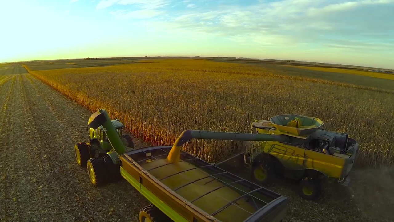 Input Savings for Corn, Soybean Seed, Crop Protection