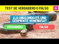 PREGUNTAS DE VERDADERO O FALSO | TEST DE VERDADERO O FALSO #6