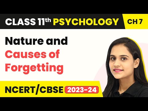 Nature and Causes of Forgetting - Human Memory | Class 11 Psychology Chapter 7