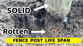 Fence Post Life
Is 5 years a reasonable life span for a wood fence post? What cost would be reasonable to earn more years of rot free post life?
***Link to our Amazon store. All tested and approved by me
https://www.amazon.com/shop/youngbloodfamilyfarm
Feel Free to support Me
I Participate in the Amazon Affiliate Program
https://amzn.to/3ivKlGA
Considering Purchasing Amazon Items using this Link
It costs nothing for you and helps us out Fence Post Life