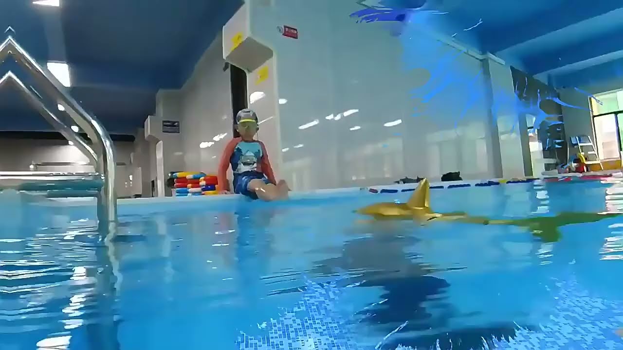 RC Shark 2.4G Simulation Remote Control Animals