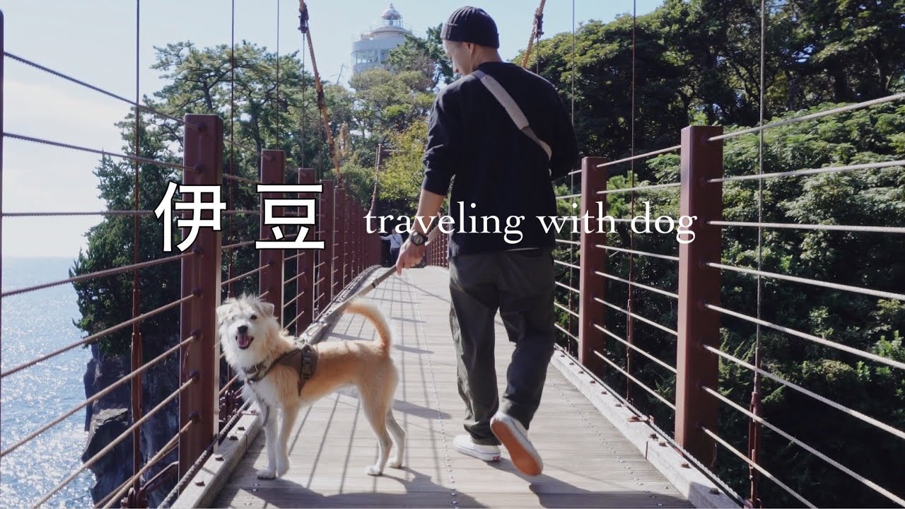 【犬と旅行】愛犬と一緒に楽しむ下田〜伊豆高原｜ドッグラン付絶景貸別荘泊