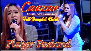 Dangdut Clasiknyanya Jepara-FULL ALBUM CAEZAR MUSIC LIVE SUMOSARI JEPARA