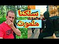 سلكت من لموت ونصب 2 