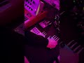 Midi Sans Frontieres