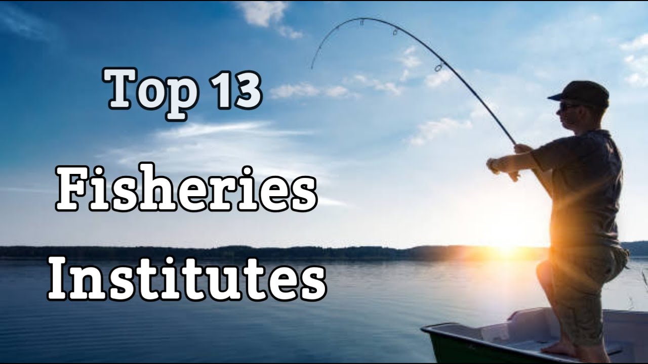 Top 13 Fisheries Institutes In India | Top Training Institutions