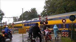 Spoorwegovergang Driebergen-Zeist // Dutch railroad crossing screenshot 3