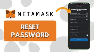 How to Reset Metamask Password (Easy Step By Step)
