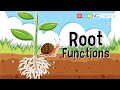 Plant Structures and Functions