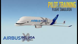 Flying the Airbus Beluga XL with my friend in PTFS! | PTFS Roblox | PTFS#1