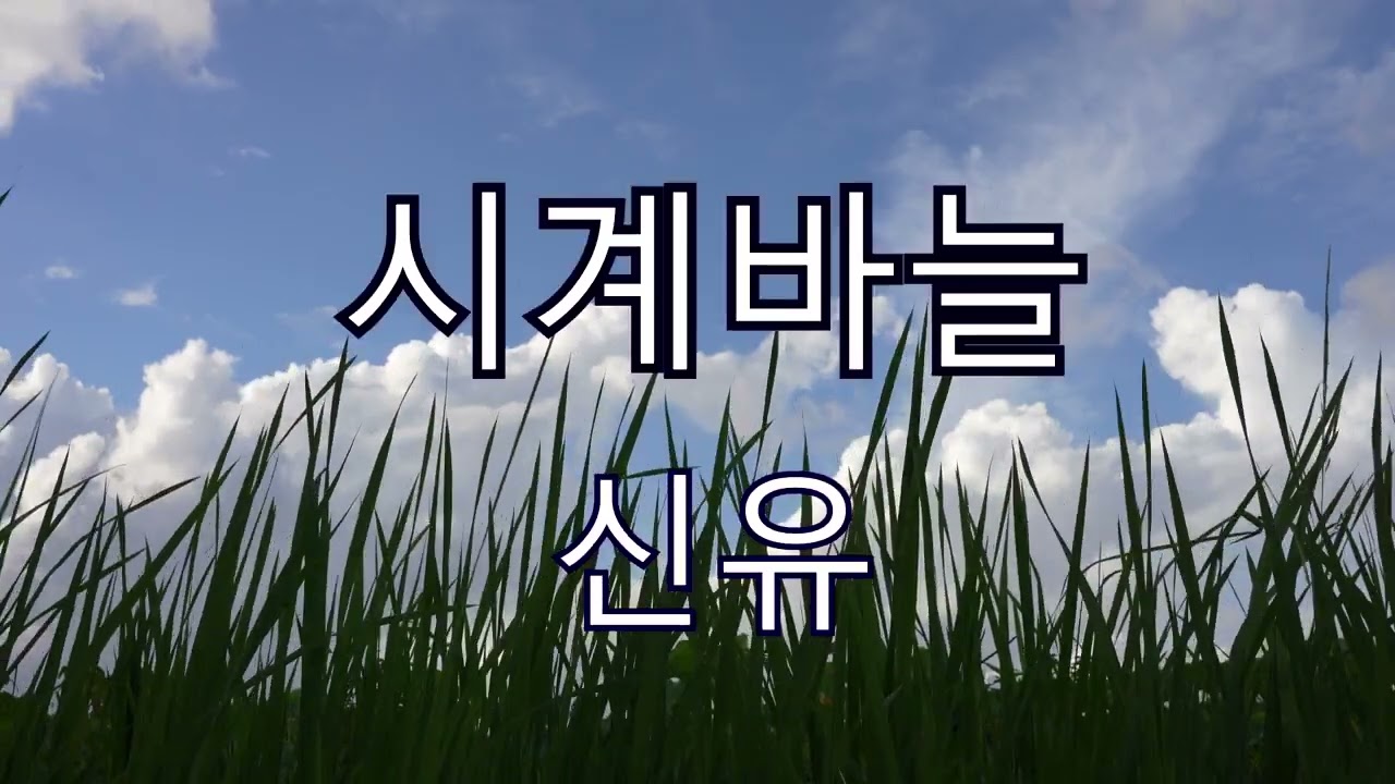 신유 시계바늘 1시간 가사 포함