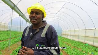 Behind the Scenes: Climate-Smart Greenhouse Installations with Irri-Hub KE