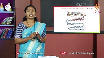 First Bell 2.0 Plus two Zoology Class 27