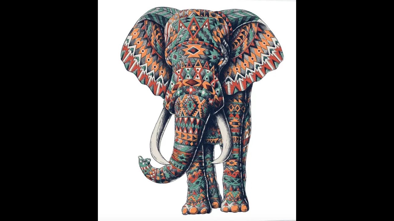 Elephant на русском языке. Слоны. Индийский слон. Индийский слон с украшениями. Индийские слоны с украшением.