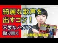 ノイズのない綺麗な声の出し方~聴き心地の良い歌声~【赤羽式ボイトレ】