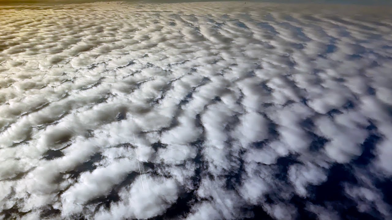 A Single Ocean - Smaller Gardens (Official Music Video)