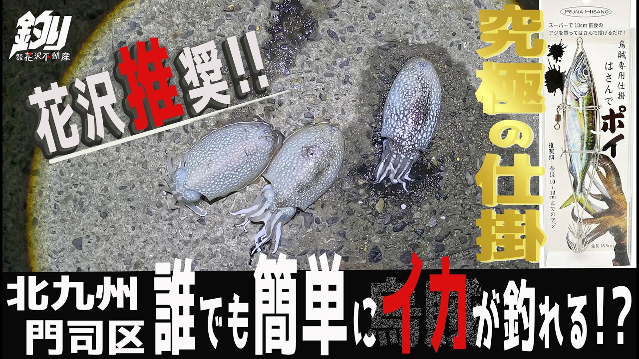 Moji Ward Squid Fishing] After not catching any for 3 monthsthe