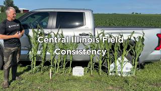 PROVEN G3 Supports More Uniform Corn Growth
