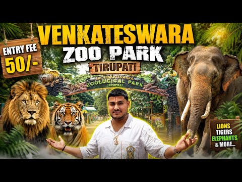 🦁శ్రీ వేంకటేశ్వర జూలాజికల్ పార్క్ (Tirupati Zoo park ) 🐅🌳 | లయన్ సఫారీ