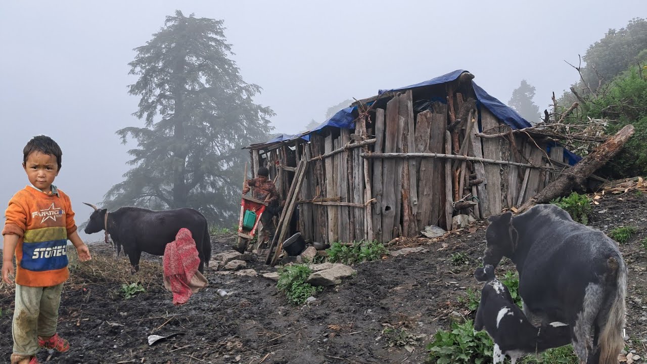 Living in a Remote Nepali Mountain Village During the Winter Season on a Rainy Day ||Jajarkot, Nepal