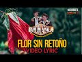 Ramon Ayala - Flor Sin Retoño (Video Lyric Oficial)