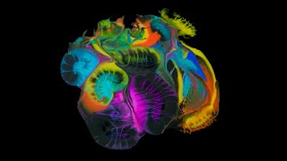 400 Kazan, - Alışveriş Çılgınlığı Colourarte Splendor Sonbahar Sonbahar Etkinliği